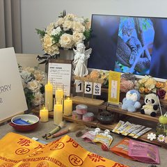 宠物家长客户见证