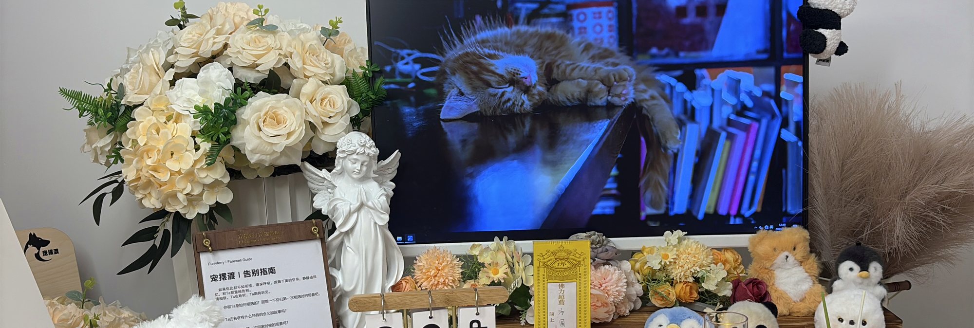 宠摆渡绵阳宠物殡葬门店告别厅实景